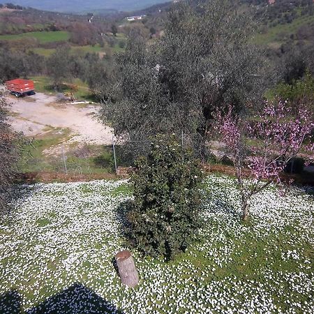 Agriturismo Norianino Монтемерано Екстериор снимка