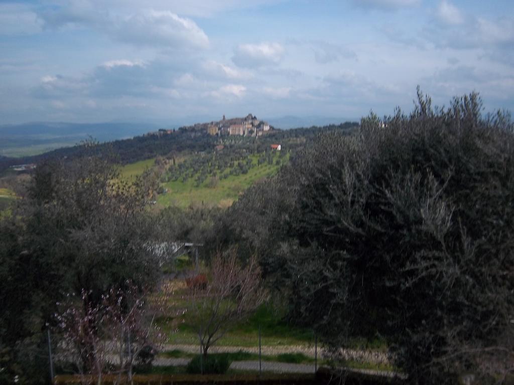 Agriturismo Norianino Монтемерано Екстериор снимка