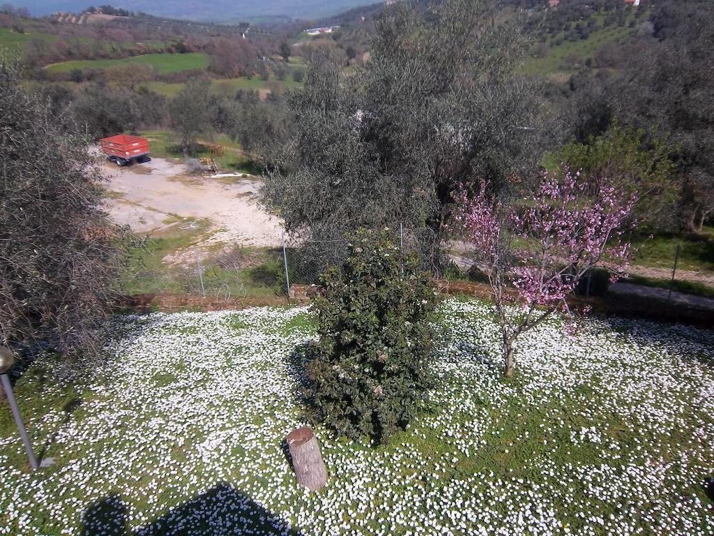 Agriturismo Norianino Монтемерано Екстериор снимка