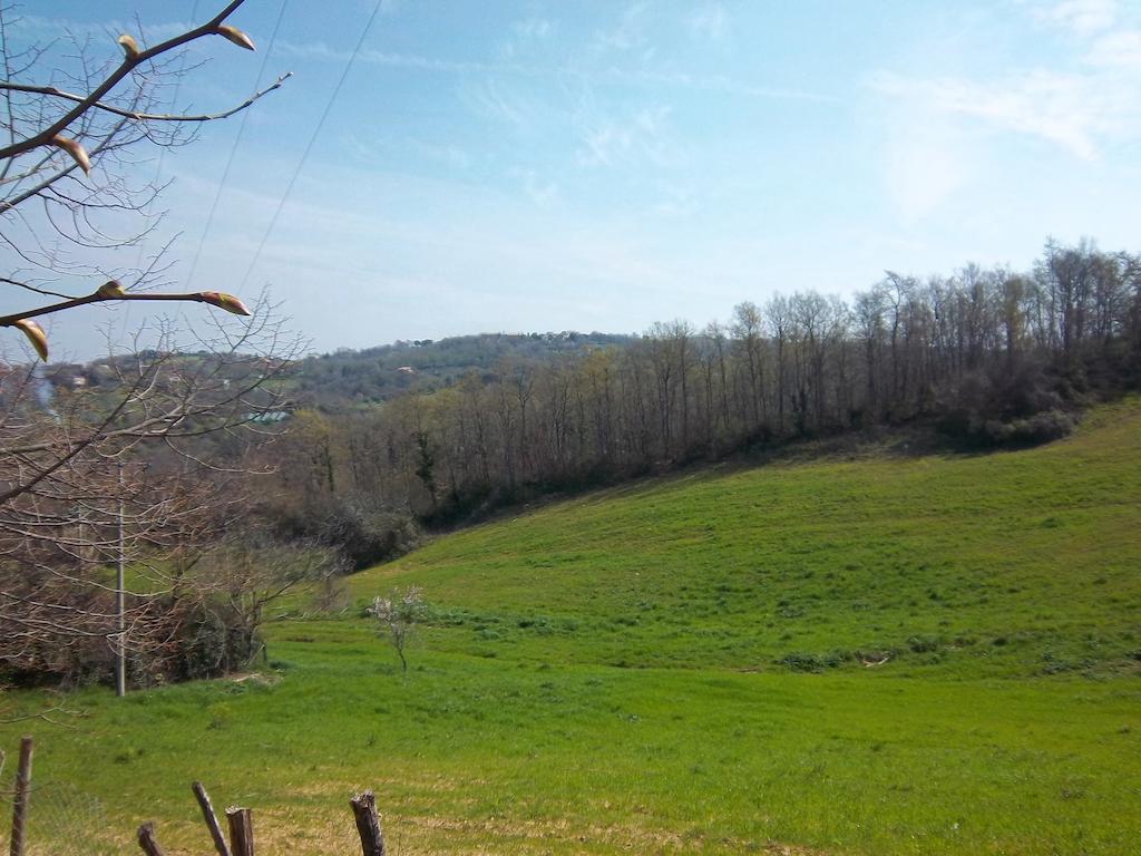 Agriturismo Norianino Монтемерано Екстериор снимка